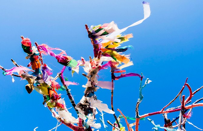 Wish Tree Dilek Ağacı Sergisi  Aralık  Ocak arasında izleyiciyle buluşuyor manşet