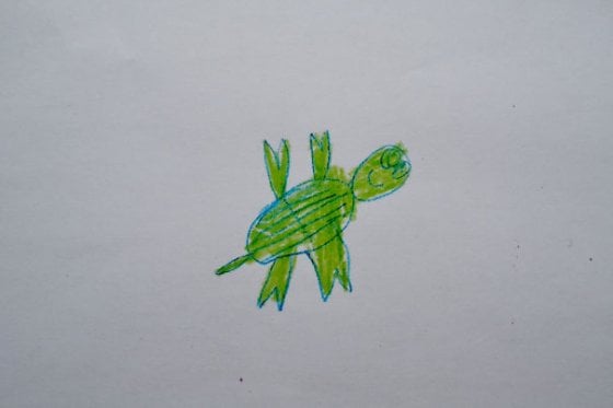 caretta