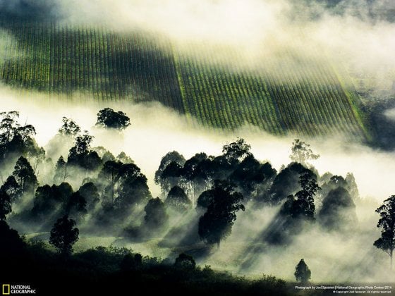 Kings Valley Clouds (Mansfield, Victoria, Australia, Places Category)