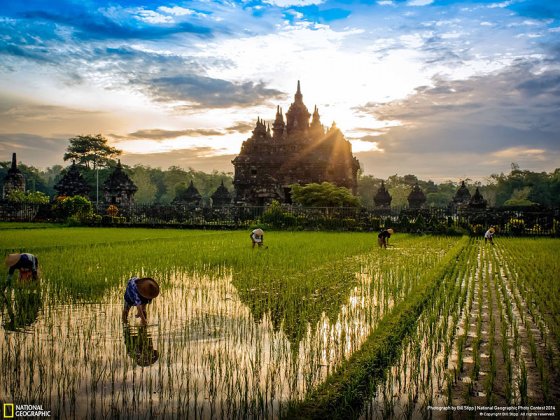 Sunrise Plaosan Temple (Plaosan Temple, Yogyakarta, Indonesia, Places Category)