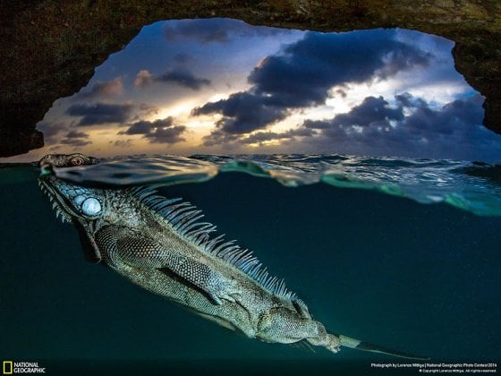 The Iguana’s Cave (Island of Bonaire, Kralendijk, Dutch Caribbean, Nature Category)