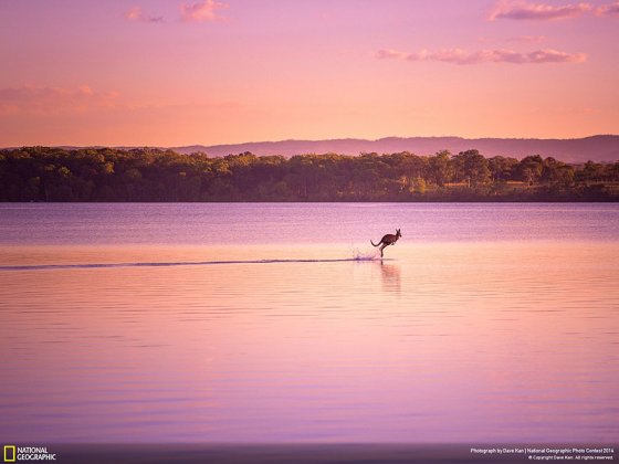 Walking on Water (Queensland, Australia, Nature Category)